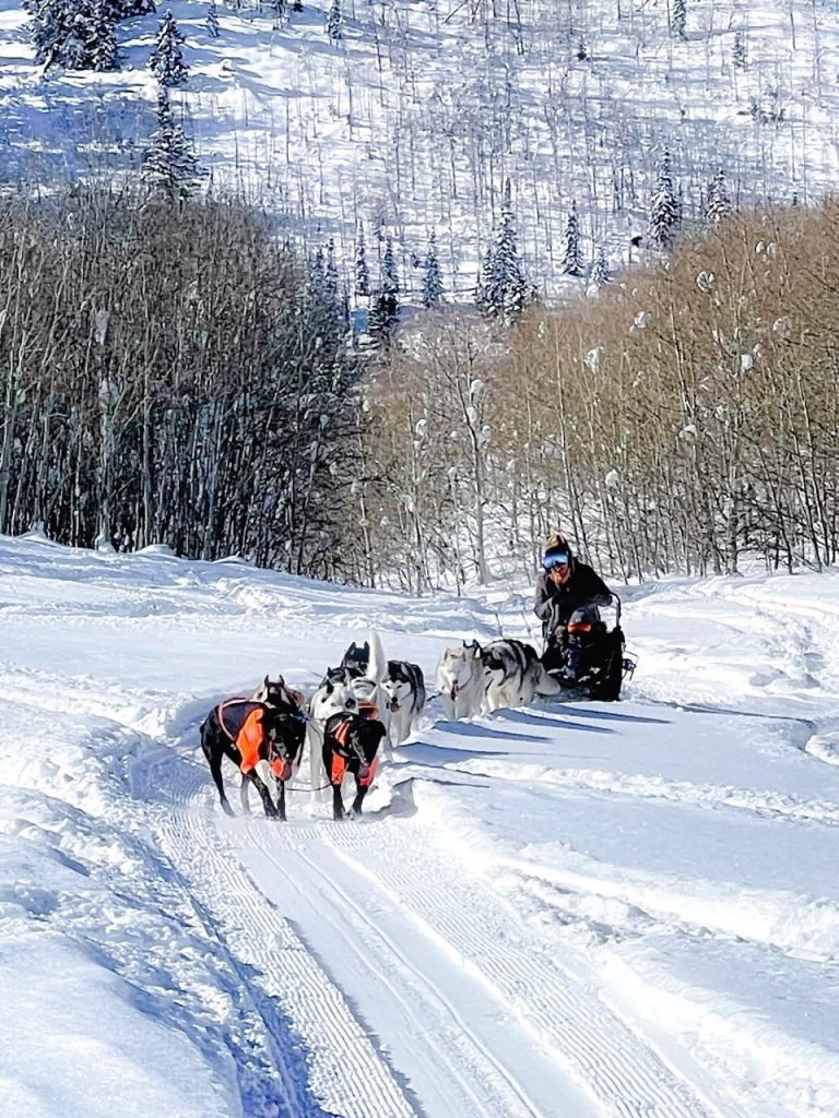 Maren 1 dog sledding